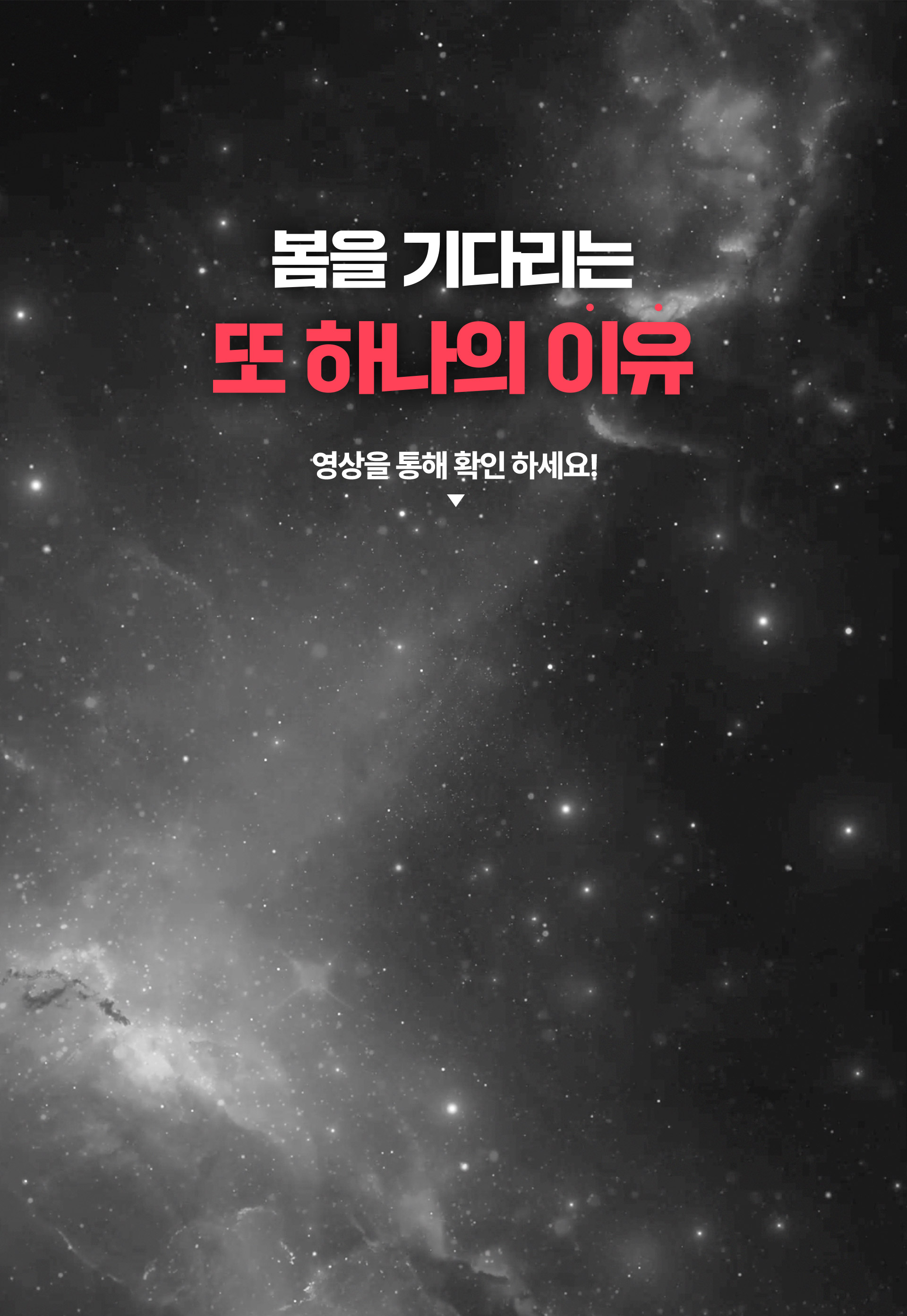 봄을 기다리는 또 하나의 이유 - 영상을 통해 확인 하세요!